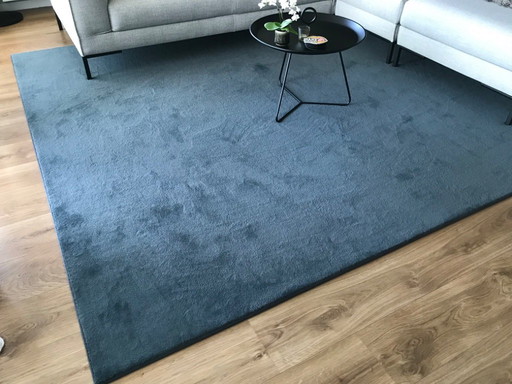 Vloerkleed blauw