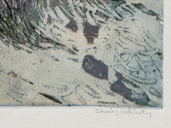 Image 1 of Litografia "Metamorfosi" di Shirley Estelle Witebsky