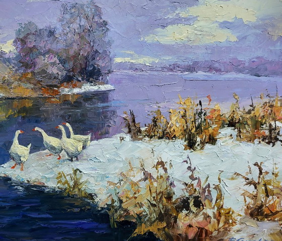 Image 1 of Geese On A Pond In Winter