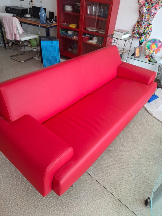 Havek Sky, tre posti in pelle rossa – Divani 3 posti, Leather (photo 5 of 5)