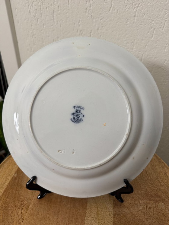 Image 1 of Super schöner Petrus Regout "Timor" Teller