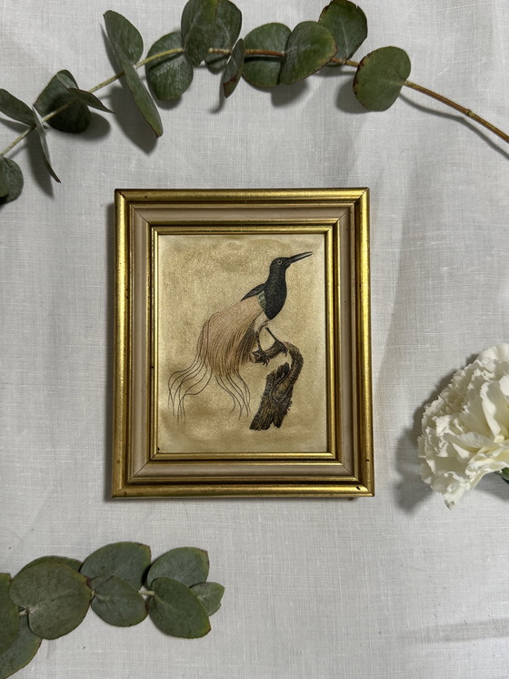 Image 1 of Vintage lijst met paradijsvogelmotief