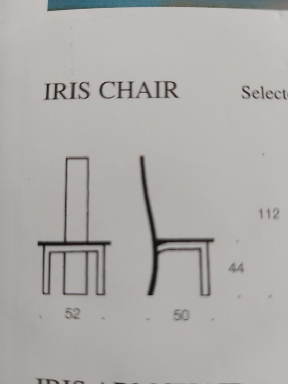 Image 1 of 4x Tranekaer Danmark Iris Chair: Design Bob + Dries Van Den Berghe 1982
