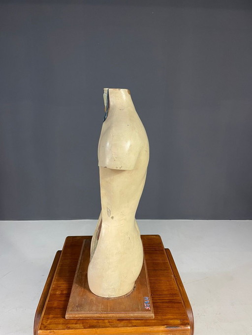 Modèle anatomique humain, outil pédagogique, Tchécoslovaquie, années 1960