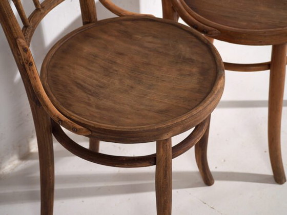 Antique bentwood dining chairs (c.1920). Set of 6 pieces #2 (photo 37 of 40)