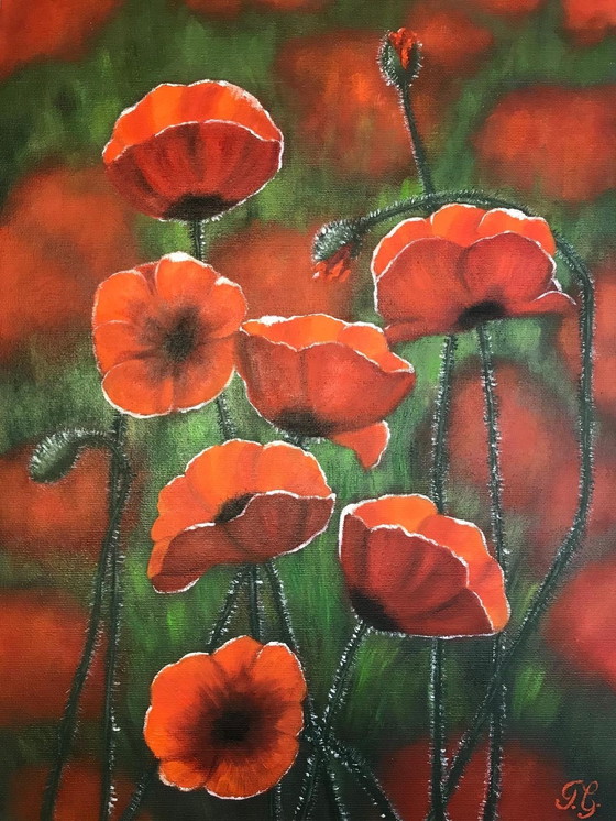 Image 1 of Pintura al óleo - Irina Gauss - Amapolas en verano