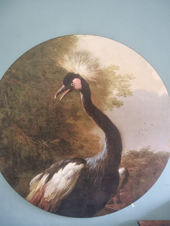 Image 1 of Wall Masters Round 150 Samt