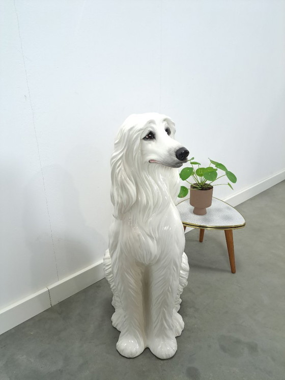 Image 1 of Large Italian ceramic statue of a dog