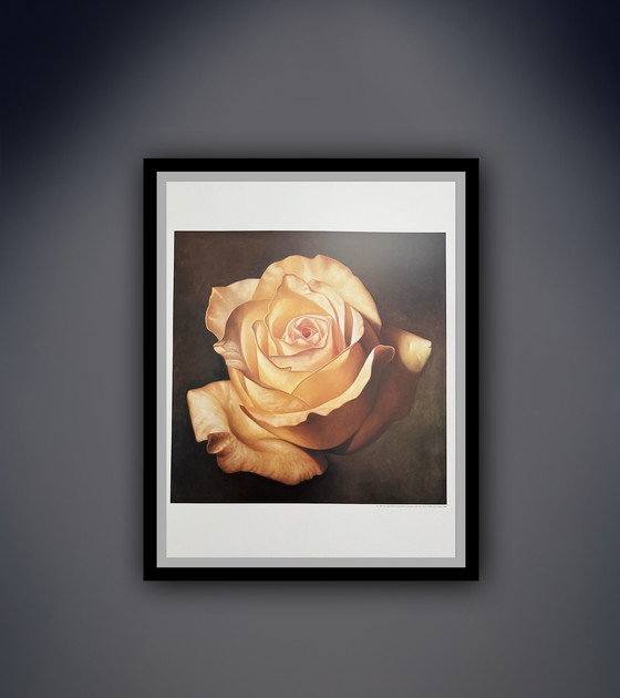 Image 1 of Franco Campana: "Yellow Rose".

Signed in the Plate.
Beautiful colors!