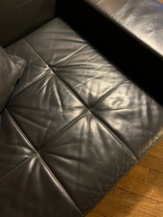 Zanotta Alga Cuero Negro – Sillones, Cromo (photo 3 of 5)