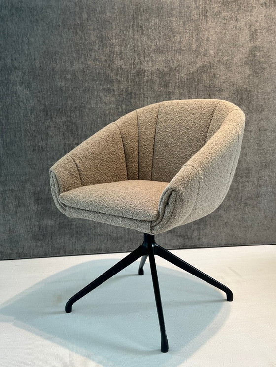 Image 1 of MONTIS Luna M0136