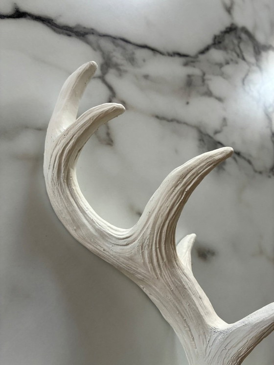 Image 1 of Cornes décoratives en résine
