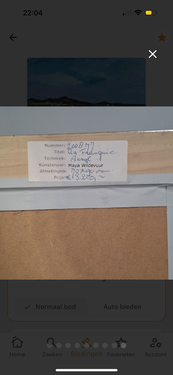 Image 1 of Bekanntes Werk von Maya Wildevuur aus dem Jahr 2008 „La Franqui“, Acryl, 70 x 90 cm