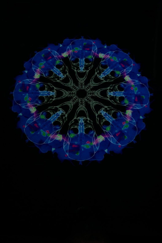Image 1 of Zeitgenössische Straßenkunst – Totenkopf-Mandala – Mixed-Media-Kunstwerk