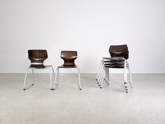 Image 1 of Conjunto original de 6 sillas de madera pavimentadas de mediados de siglo de Adam Stegner, silla ASS