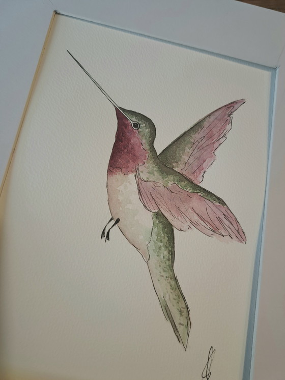 Image 1 of Acquerello originale raffigurante un colibrì con cornice