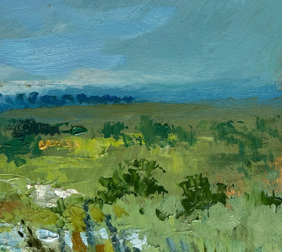 Image 1 of Original Oil Painting Summer Field Landscape On the summer flower meadows