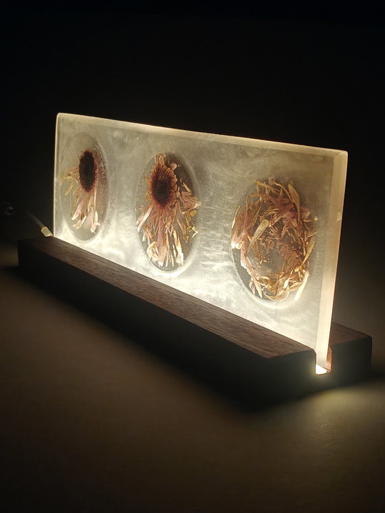 Image 1 of “Fasi di decadimento”
Scultura luminosa con fiori conservati