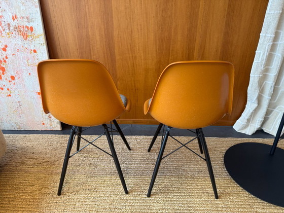 2x Vitra Eames Fiberglass Chairs, arancione, Sedie da pranzo, Metallo, Tessile, Design (foto 2 di 6)