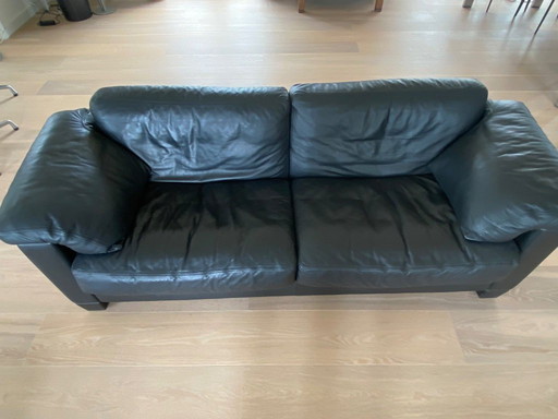 2x de Sede sofas DS-17/117 black