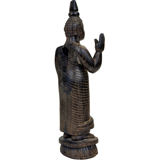 Paire de Bouddhas en bois sri-lankais en Abhaya Mudra – Milieu du XXe siècle – Sculptures (photo 5 of 11)