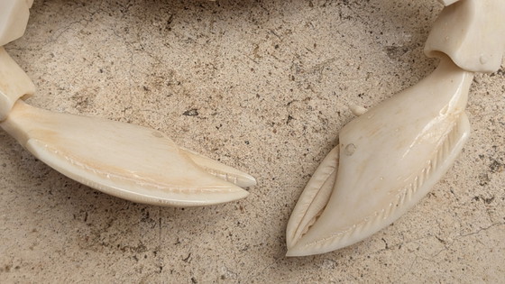 Image 1 of Juego de tallas japonesas en marfil, Alrededor de 1900