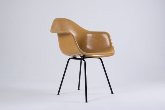 Image 1 of DAX Eames en fibre de verre – Light Ocre – Herman Miller / Vitra – circa 1965-1975