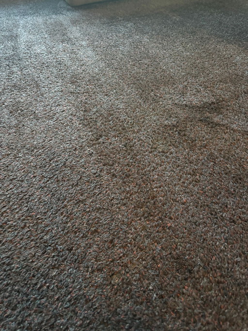 CS rugs 100% wool high-quality carpet 260x260