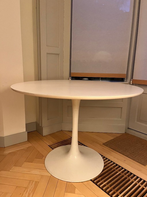 Mesa Tulip M. Burke para Arkana