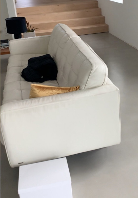 Divano Natuzzi 3 posti / Made in Italy – Divani 3 posti, Pelle (photo 2 of 7)