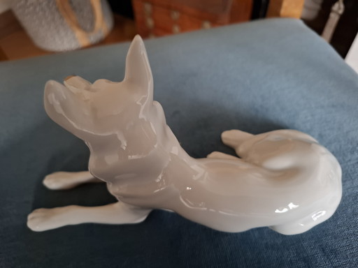 Hollohaza Hungary Sheepdog 