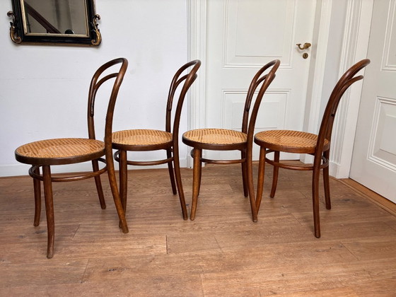 4x Thonet no 14 style chairs with excellent webbing seat, ZPM Radomsko, Dining chairs, Rattan, Wood, Beige (photo 6 of 10)