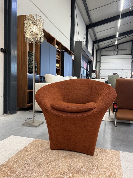 Image 1 of Label van den Berg Fauteuil Ace Terra