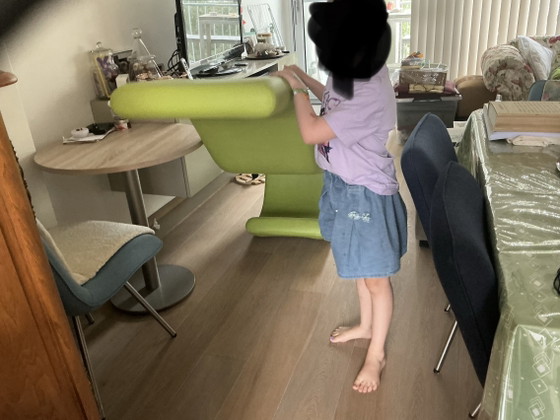 Image 1 of Eyecatcher longchair 
