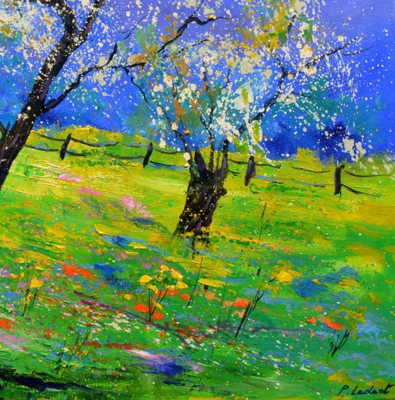 Image 1 of Blooming apple trees in spring