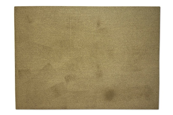 Image 1 of Millenerpoort Ciclo Dura rug - 250x350