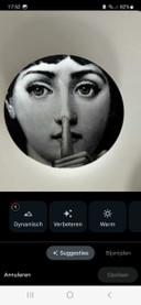 Fornasetti wandborden