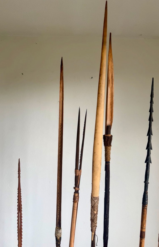 Arc et flèches des tribus Sepik et/ou Asmat de Papouasie-Nouvelle-Guinée – Objets déco, Bamboo (photo 17 of 17)