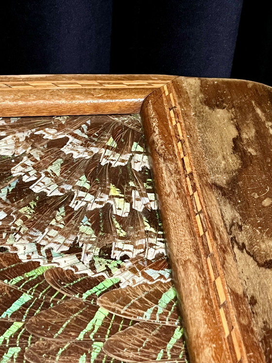 Image 1 of Vintage Midcentury Zitrin-Rio butterfly wing tray – 33×52 cm