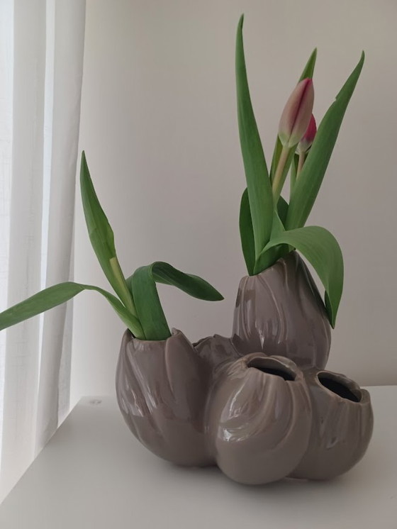 Image 1 of Serax. Maxi flower (tulip) vase, coral. 6 holes. Taupe.