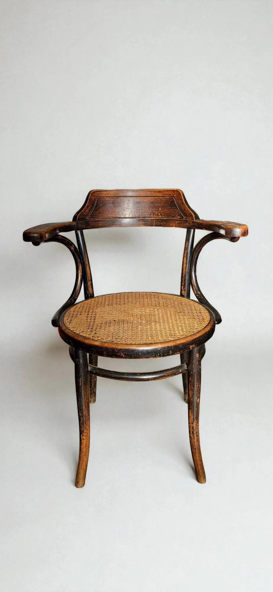 Sillón Thonet No. 6003 – Sillones, Wood (photo 3 of 11)