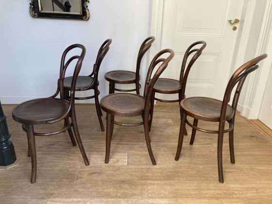 Image 1 of 6x Thonet Design No. 14 Chairs