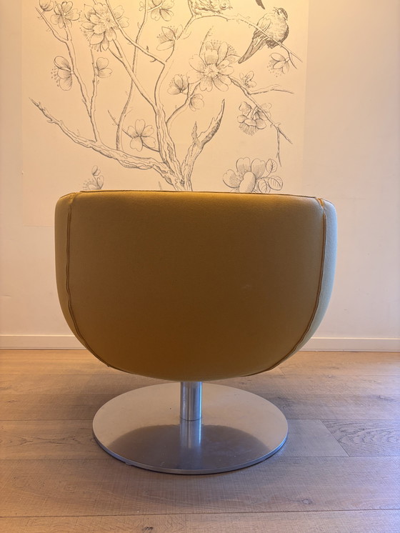 Image 1 of B&B Italia Tulip Armchair