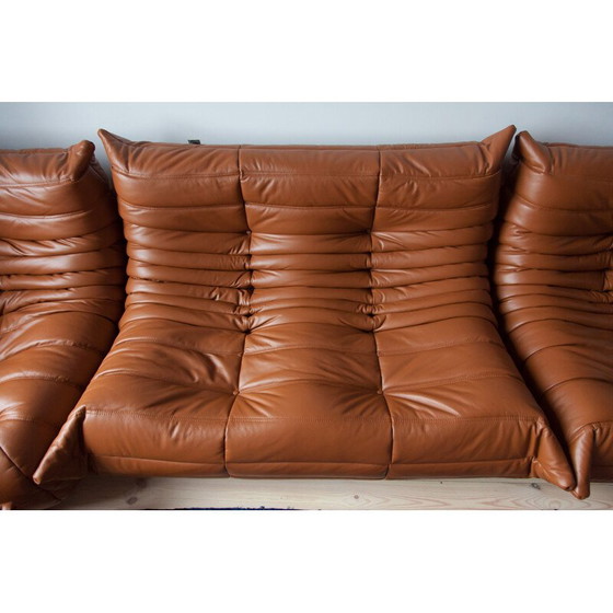 Image 1 of Togo vintage lounge set by Michel Ducaroy for Ligne Roset, France 1970