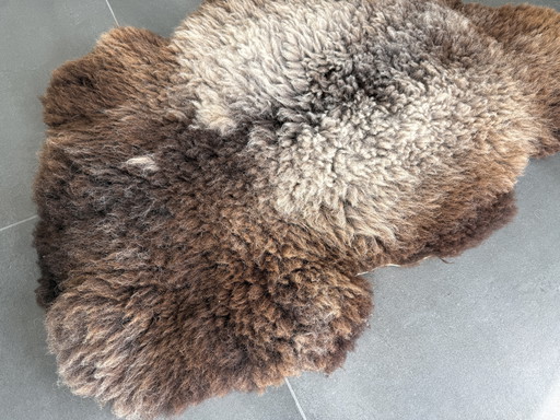 Original Schafsfell von Texel | 130x80cm