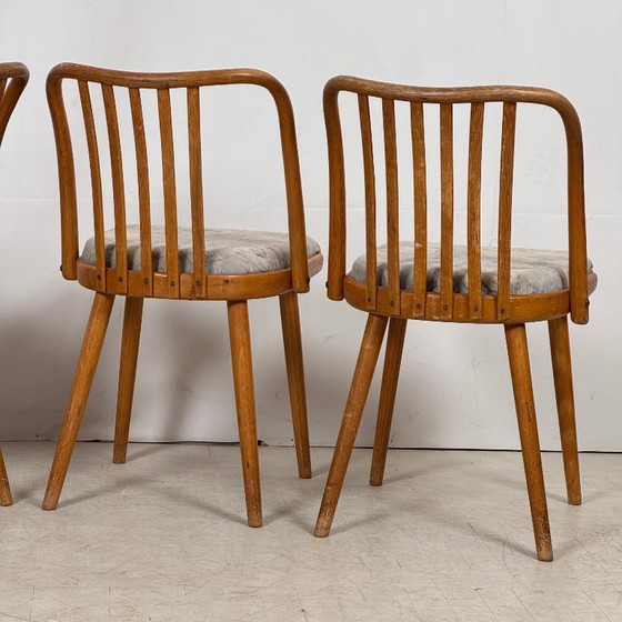 Image 1 of Jitona Tsjechoslowaakse eetkamerstoelen, jaren 60 – set van 4