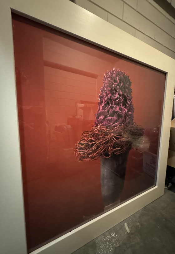 Image 1 of Exclusive photo in frame 