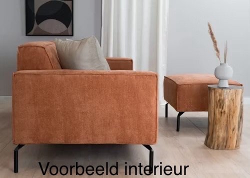 Image 1 of 3 Zitsbank avec Afneembare Bekleding. Couleur terre