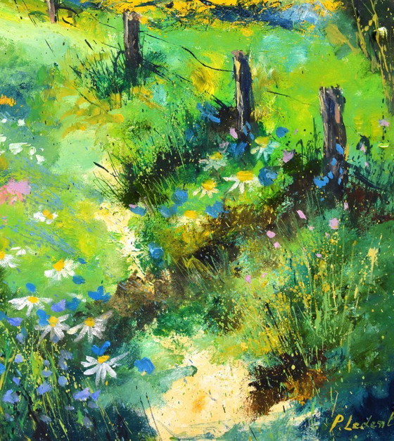 Image 1 of Green morning 