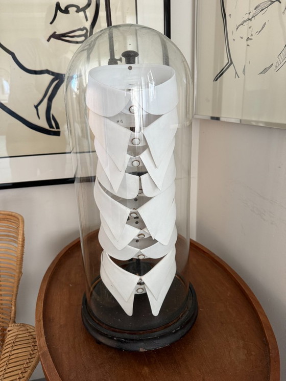 Image 1 of Antique Collar display